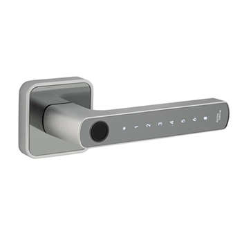 DORMAKABA silver 1 - Lock Products